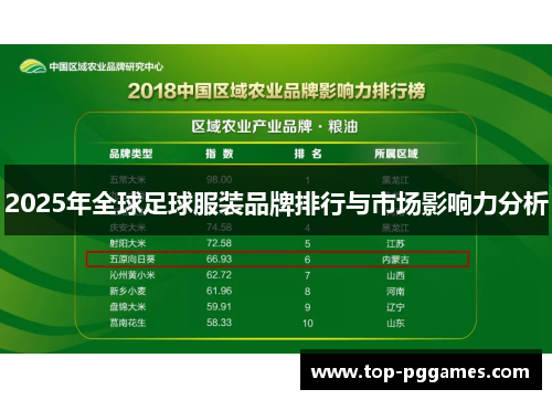 2025年全球足球服装品牌排行与市场影响力分析