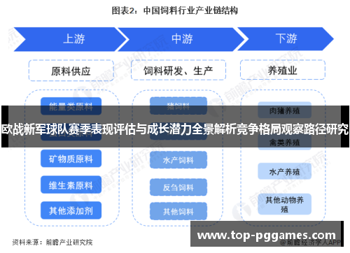 欧战新军球队赛季表现评估与成长潜力全景解析竞争格局观察路径研究 欧战新军球队赛季表现评估与成长潜力全景解析竞争格局观察路径研究