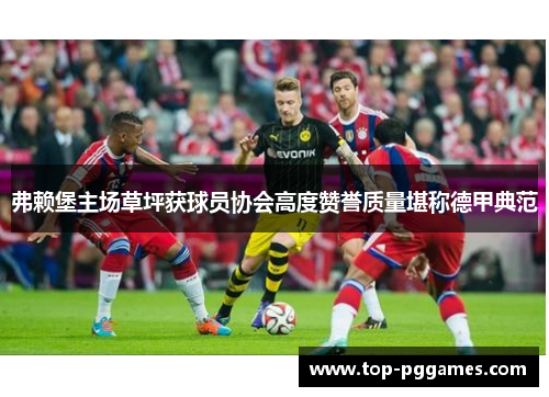 弗赖堡主场草坪获球员协会高度赞誉质量堪称德甲典范 弗赖堡主场草坪获球员协会高度赞誉质量堪称德甲典范